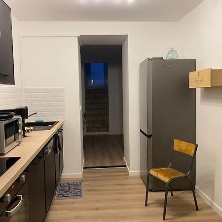 Maison Entiere 6 Personnes Jardin Terrasses Et Garage ナンシー エクステリア 写真